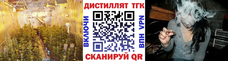 ТГК Wax  купить   Высоковск 