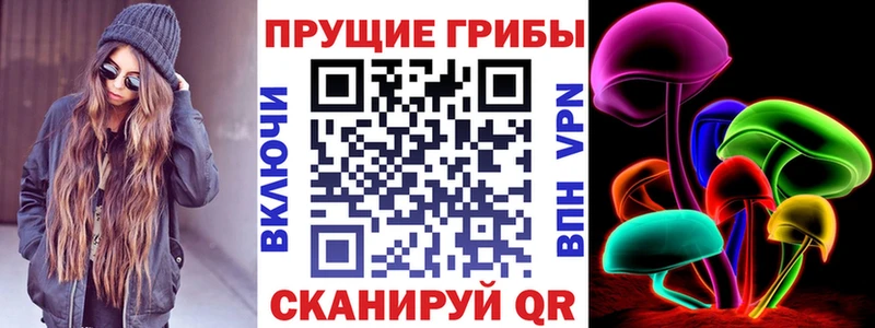 купить  сайты  Высоковск  Псилоцибиновые грибы MAGIC MUSHROOMS 